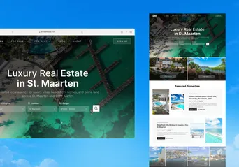 Website project preview 4